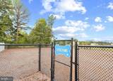 32241 Ivory Gull Way - Photo 46