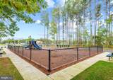 32241 Ivory Gull Way - Photo 64