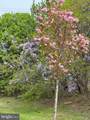 30609 Cedar Neck Road - Photo 39