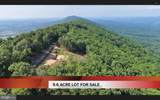 Lot #10 Radio Tower Rd - Photo 1