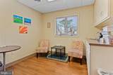 816 Belvedere Street - Photo 23