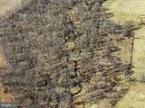  Old Tavern Road - Photo 6