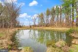 38956 Rickard Road - Photo 67