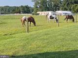 84 Spotted Acres Farm Lane - Photo 19