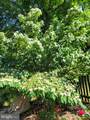113 Oak Street - Photo 59