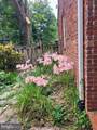 113 Oak Street - Photo 60