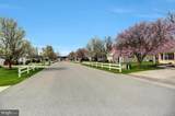 4 Lantern Ln - Photo 56
