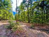 23501 Mcmullen Highway - Photo 37
