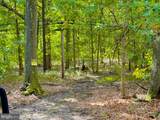 23501 Mcmullen Highway - Photo 41