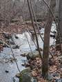 2005 Upper Stony Run - Photo 3