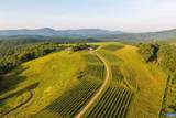 24981 Blue Ridge Pkwy - Photo 52