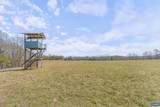 1353 Banton Shop Rd - Photo 45