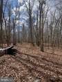 18689 Red Brush Road - Photo 31