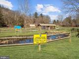 7696 Swallow Road - Photo 115