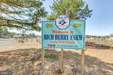 5 Pea Patch Road - Photo 45
