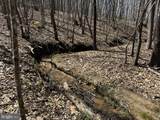 0 Whipping Creek Road - Photo 21