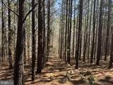 0 Whipping Creek Road - Photo 41