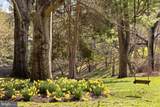 1566 Woodside Road - Photo 23