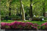 202-10 Rittenhouse Square - Photo 78