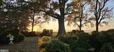 10770 Rich Neck Road - Photo 108