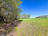 12.42 Acres Bull Neck Road - Photo 11