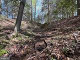 12.42 Acres Bull Neck Road - Photo 14