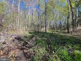 12.42 Acres Bull Neck Road - Photo 15