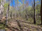 12.42 Acres Bull Neck Road - Photo 16