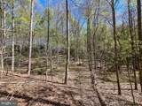 12.42 Acres Bull Neck Road - Photo 17