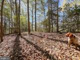 12.42 Acres Bull Neck Road - Photo 18