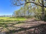 12.42 Acres Bull Neck Road - Photo 22