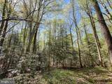 12.42 Acres Bull Neck Road - Photo 24