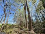 12.42 Acres Bull Neck Road - Photo 25