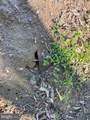 12.42 Acres Bull Neck Road - Photo 26