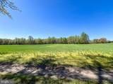 12.42 Acres Bull Neck Road - Photo 4