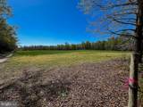 12.42 Acres Bull Neck Road - Photo 5