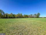12.42 Acres Bull Neck Road - Photo 6