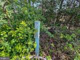 12.42 Acres Bull Neck Road - Photo 8