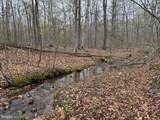LOT 2M Whitetail Lane - Photo 3