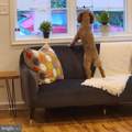 728 8TH Street - Photo 28