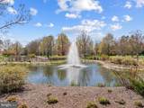 27034 Firefly Boulevard - Photo 77