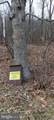 1243 Shaffer Mountain Road - Photo 14