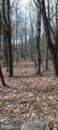 1243 Shaffer Mountain Road - Photo 15