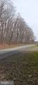 1243 Shaffer Mountain Road - Photo 58