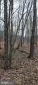 1243 Shaffer Mountain Road - Photo 9