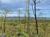 Lot 6 Polecat Hollow Road - Photo 10