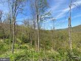 Lot 6 Polecat Hollow Road - Photo 6