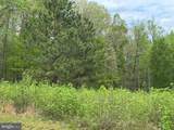 Lot 64 Ark Avenue - Photo 11