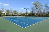 41909 Beryl Terrace - Photo 48