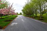 3608 Connemara Road - Photo 100